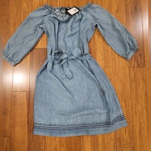PAIGE Beatrice off the shoulder chambray dress in Persephone XS